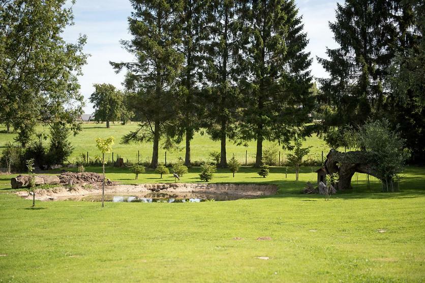 Bed and Breakfast La Jolimessine Jolimetz Exterior foto